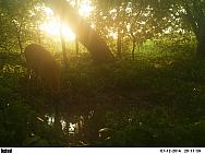 PICT0462