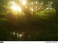 PICT0463