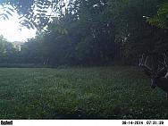 PICT0624 (2)