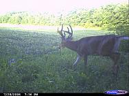 CDY 0074