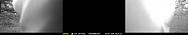 MFDC0004