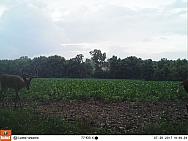 07260292