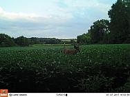 07270204