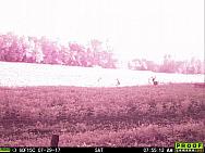 07290277
