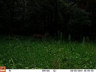 08050354