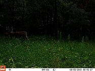 08050361