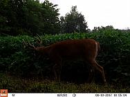 08100522