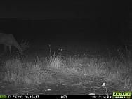 08160951