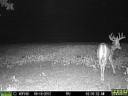 08180548