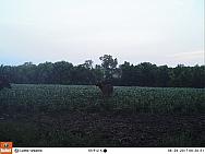08240488