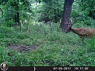 HUNT0140