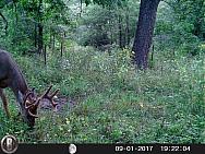 HUNT1123