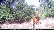 IMG 0049