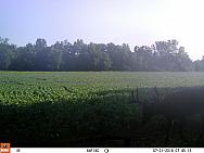 07310339