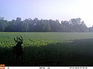 07310352