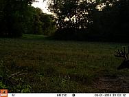 08010638