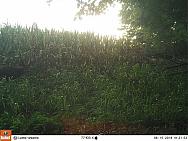 08150881 - Copy