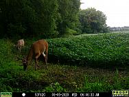 08050004