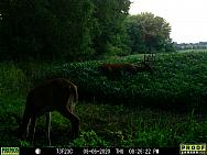 08060029