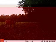 07150946