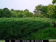 08010001