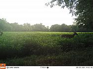08040012