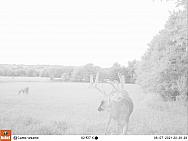 08070573