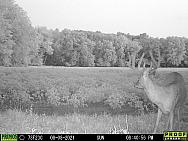 08080082