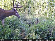08140134