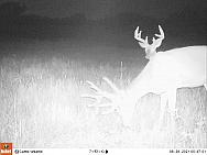 08280222