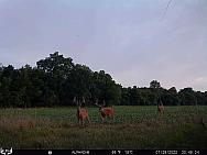 07290370
