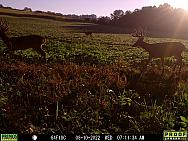 08100456