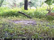 08160665 - Copy