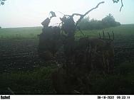 PICT0742