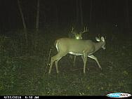 CDY 0074
