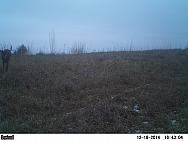 PICT0060
