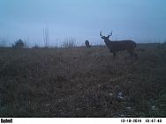 PICT0069