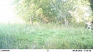 EK000854 - Copy