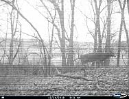 I 00364