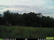 09140826