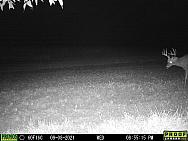 09080091