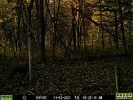 11020326