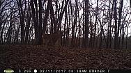 2017-02-11 PICT0553