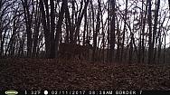 2017-02-11 PICT0555