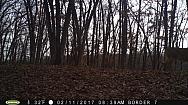 2017-02-11 PICT0556