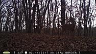 2017-02-11 PICT0557