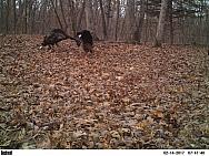 2017-02-14 PICT2284