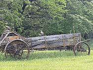 IMG 5631