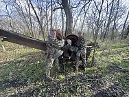 IMG 7974